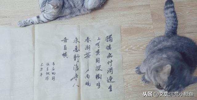 清高宗乾隆(三高皇帝乾隆在位60年)(7)