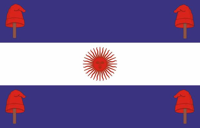 各个国家的国旗和名称(历史上的各国国旗南美篇)(17)