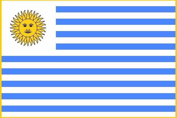 各个国家的国旗和名称(历史上的各国国旗南美篇)(6)