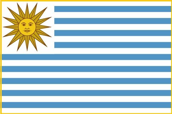 各个国家的国旗和名称(历史上的各国国旗南美篇)(7)