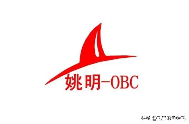 最近比较火的运动品牌(这些运动品牌你还记得吗)(16)