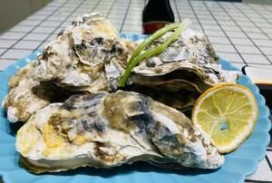 煮生蚝需要放什么材料,生蚝怎样煮才好吃视频教程图4
