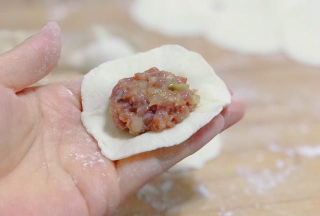 牛肉饺子馅的做法,王刚牛肉饺子馅的做法大全?图5