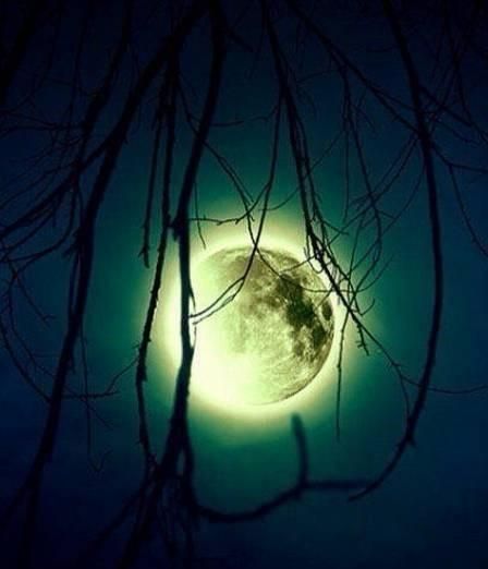 农历是阳历还是阴历,农历和本历怎么区分?图6