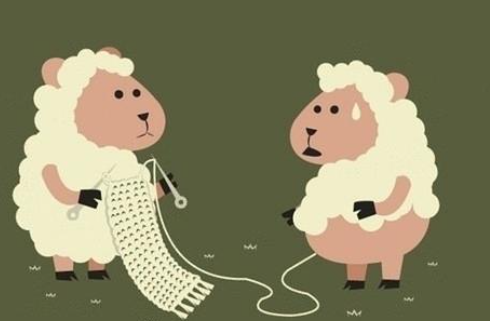 褥羊毛和薅羊毛的区别,褥羊毛啥意思怎么读图2