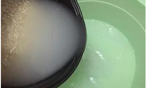 洗米水发酵多久可以浇花,洗米水发酵多久可以浇花了图2