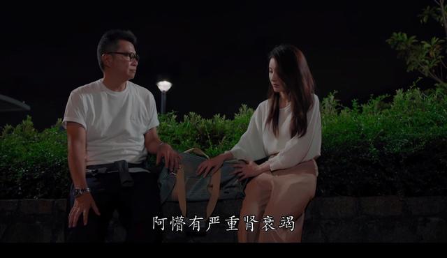 香港演员陈滢简历(细数TVB七公主奋身演出角色)(9)