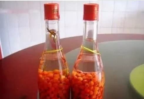 红豆杉红豆果可以吃,红豆杉果实可以吃吗图5