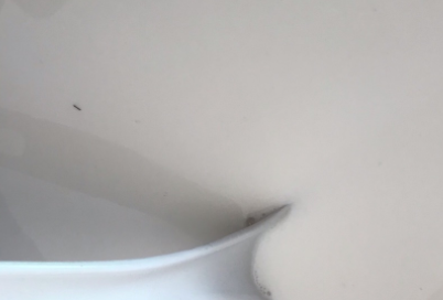 珍珠煮不透的原因,珍珠一直煮不熟怎么办图9