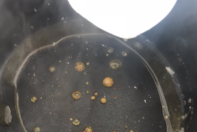 珍珠煮不透的原因,珍珠一直煮不熟怎么办图8