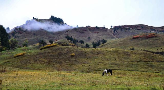 锡伯族历史介绍(锡伯族西迁史)(10)
