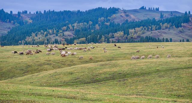 锡伯族历史介绍(锡伯族西迁史)(9)