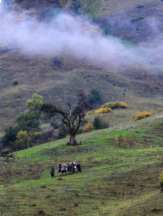 锡伯族历史介绍(锡伯族西迁史)(13)