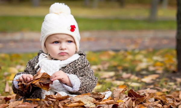 白露穿什么衣服合适,全年昼夜温差最大的节气将到来图7
