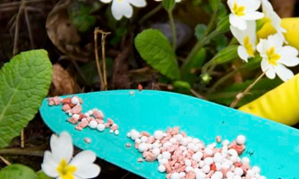 小型加工厂有什么项目,小型工作室创业项目有哪些?图2