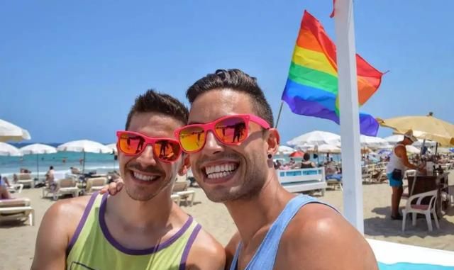 国际猫咪节是几月几日,荷兰是一个怎么样的国家,有什么事是到了荷兰才知道的?图6