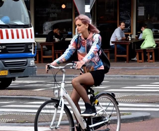 国际猫咪节是几月几日,荷兰是一个怎么样的国家,有什么事是到了荷兰才知道的?图14