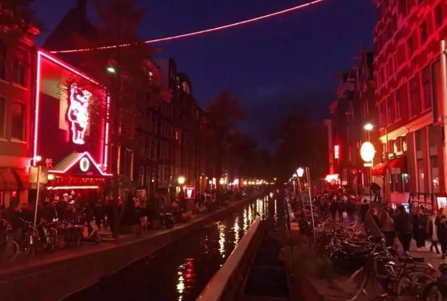 国际猫咪节是几月几日,荷兰是一个怎么样的国家,有什么事是到了荷兰才知道的?图8