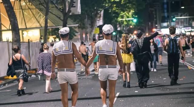 国际猫咪节是几月几日,荷兰是一个怎么样的国家,有什么事是到了荷兰才知道的?图2