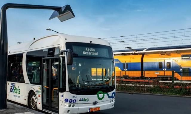 国际猫咪节是几月几日,荷兰是一个怎么样的国家,有什么事是到了荷兰才知道的?图16