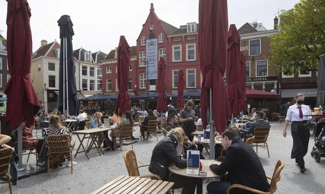 国际猫咪节是几月几日,荷兰是一个怎么样的国家,有什么事是到了荷兰才知道的?图11