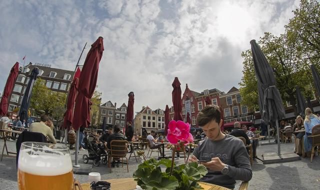 国际猫咪节是几月几日,荷兰是一个怎么样的国家,有什么事是到了荷兰才知道的?图12