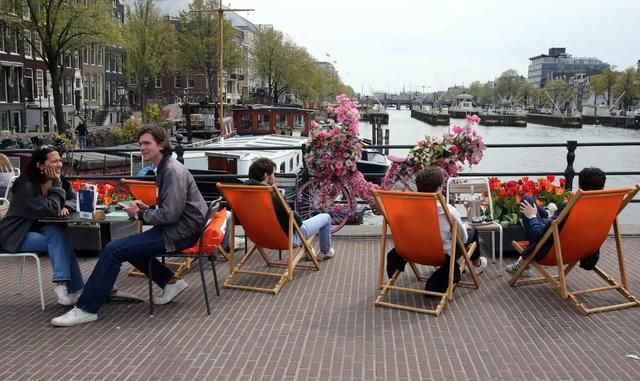 国际猫咪节是几月几日,荷兰是一个怎么样的国家,有什么事是到了荷兰才知道的?图18