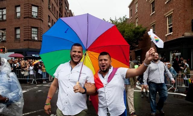 国际猫咪节是几月几日,荷兰是一个怎么样的国家,有什么事是到了荷兰才知道的?图4