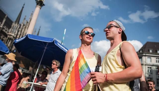 国际猫咪节是几月几日,荷兰是一个怎么样的国家,有什么事是到了荷兰才知道的?图5