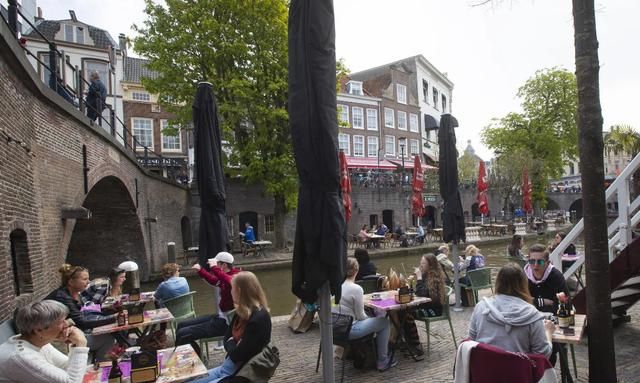 国际猫咪节是几月几日,荷兰是一个怎么样的国家,有什么事是到了荷兰才知道的?图17