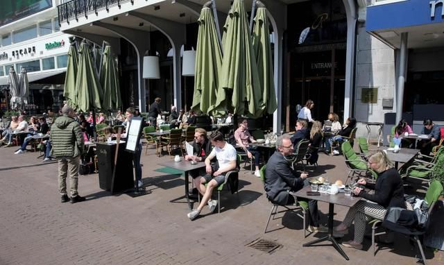 国际猫咪节是几月几日,荷兰是一个怎么样的国家,有什么事是到了荷兰才知道的?图10