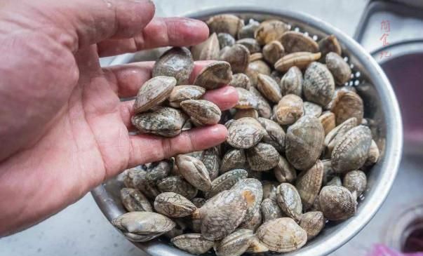 花甲死了还能吐沙子吗