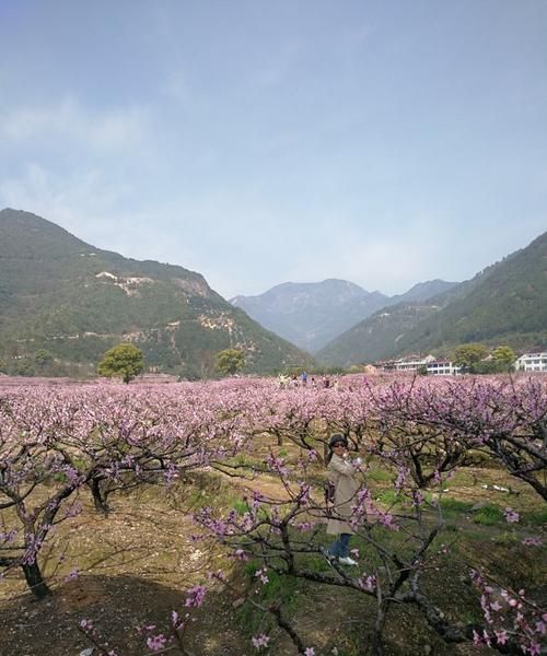 春天踏青的作文二年级