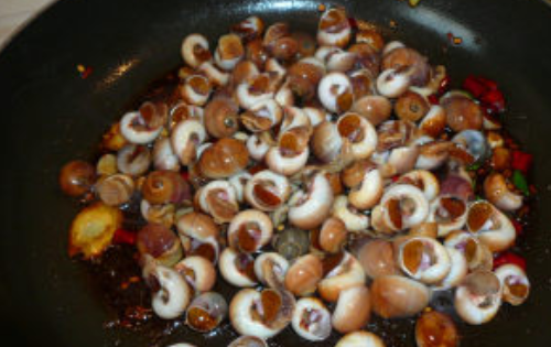 蜗牛怎么清洗最干净,怎样快速找到蜗牛图8