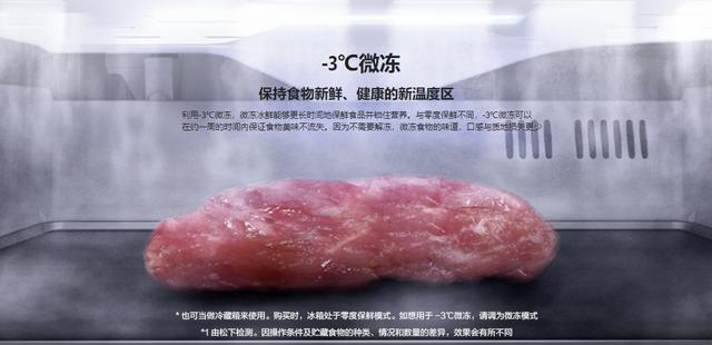 松下冰箱哪款冰箱适合家用(高品质冰箱大盘点)(4)