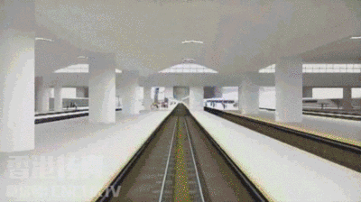 深圳到香港需办什么手续（15分钟从深圳到香港）(6)