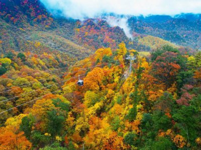 ​光雾山哪个景区看红叶好（秋季最美赏红叶胜地之光雾山旅游攻略）