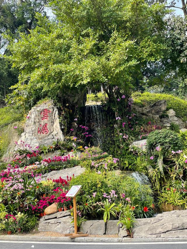 广州白云山赏桃花最好地方（桃花热情绽放广州白云山赏花攻略）(2)