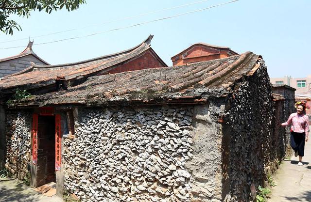 凝聚了祖祖辈辈智慧的蚝壳屋（广东特殊的600岁蚝宅）(4)