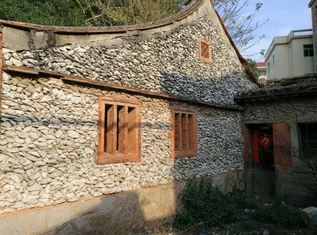 凝聚了祖祖辈辈智慧的蚝壳屋（广东特殊的600岁蚝宅）(3)