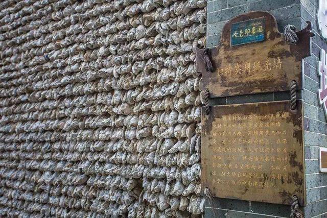 凝聚了祖祖辈辈智慧的蚝壳屋（广东特殊的600岁蚝宅）(5)