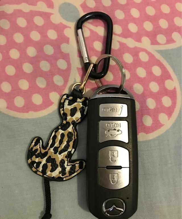 421是什么意思,撒贝宁421是什么意思?图4