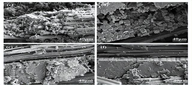 碳基复合材料结构图(国内科研团队开发超高完全强度碳)(2)