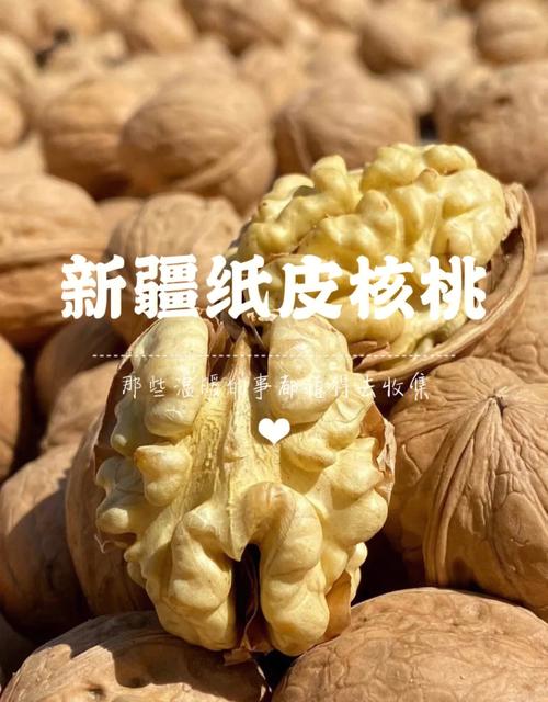 纸皮核桃的功效与作用(纸皮核桃的三大功效)