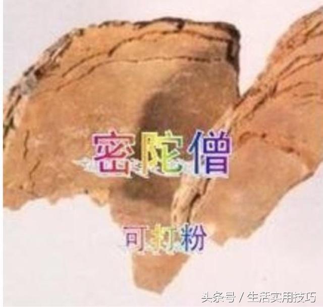 最简单的快速祛斑小妙招(生活中简单实用的祛斑小常识)(2)