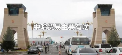 ​中哈贸易主要有啥（中哈贸易主要有啥产品业务）