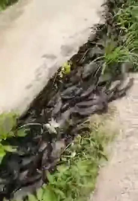 防汛知识,防汛知识培训的目的和意义?图3