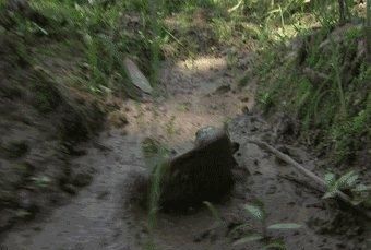 防汛知识,防汛知识培训的目的和意义?图6