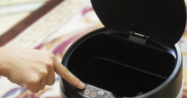 垃圾桶里的小飞虫是长出来的还是飞来的,为什么垃圾桶几天不倒了图3