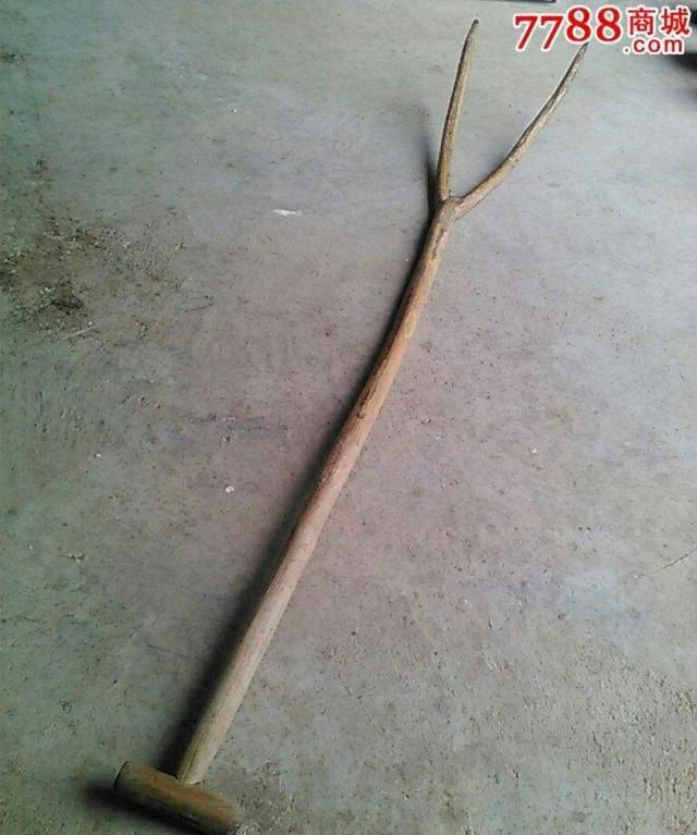 立秋诗词,立秋将至你有哪些好的诗词赞美秋景?图1